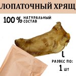 Лопаточный хрящ L. 61-100 гр.