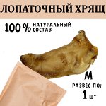 Лопаточный хрящ M. 46-60 гр.