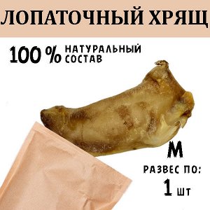 Лопаточный хрящ M. 46-60 гр.