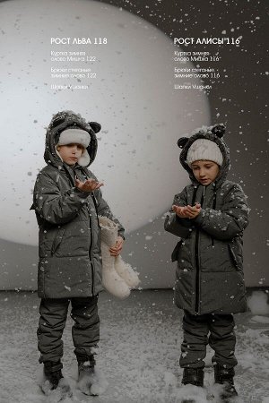 Куртка детская зимняя Мишка олово