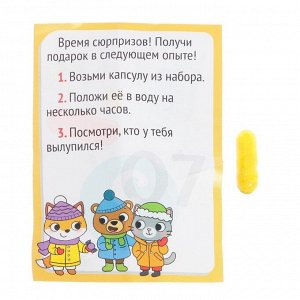 Адвент - календарь новогодний, детский, 13 окошек с подарками: 13 опытов