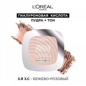 Пудра компактная Совершенное слияние  Alliance Perfect