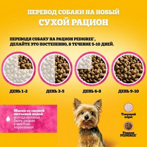 Сухой корм Pedigree для собак мини пород, говядина, 1,2 кг