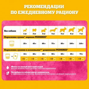 Сухой корм Pedigree для собак мини пород, говядина, 1,2 кг