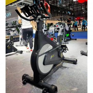 Сайкл Insight Fitness XB-20