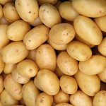 Картофель семенной  Краса Мещеры