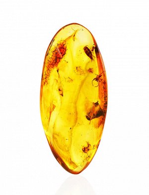 Крупный кусочек янтаря с инклюзами насекомых, 901307105