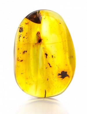 Крупный кусочек натурального колумбийского янтаря с инклюзами насекомых, 601305056