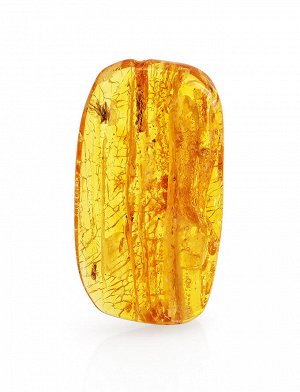 Кусочек янтаря со слоистой текстурой с инклюзом доисторического насекомого, 801305249