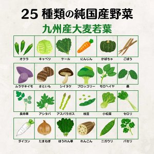 NIHON YAKKEN - золотой комплекс аодзиру