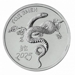 Приднестровье 1 рубль 2024 (2025) Змея, год змеи UNC