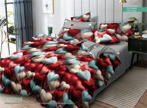Постельное белье из Поплина Зима-лето - ЗЛ-164 2 спальный с европростыней