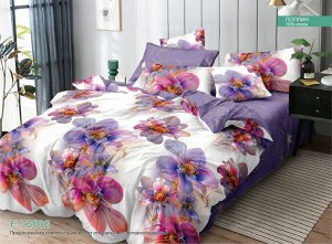 Постельное белье из Поплина Зима-лето - ЗЛ-162 1,5 спальное