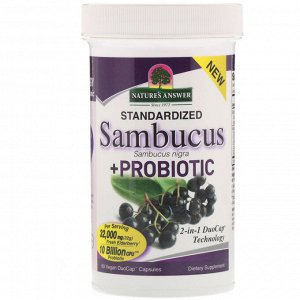 Nature&#x27 - s Answer, Sambucus + Probiotic, 60 Vegan DuoCap Capsules