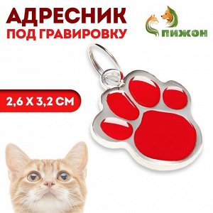 Адресник фигурный под гравировку "Лапа", 2,6 х 3,2 см, красный