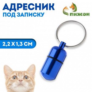 Адресник - капсула под записку, 2,2 х 1,3 см, синий