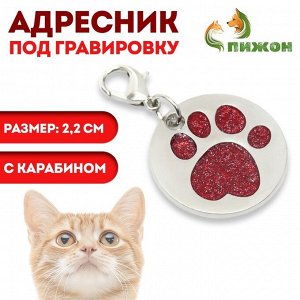Адресник под гравировку "Блестящая лапка" с карабином, 2,2 см, красный