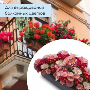 Ящик для рассады, 36 x 14 x 9 см, 3 л, пластик, чёрный