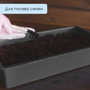 Ящик для рассады, 36 x 14 x 9 см, 3 л, пластик, чёрный