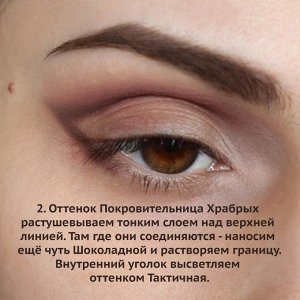 Новая Союзница