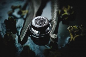 Хвостатая Бестия