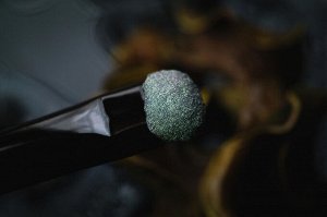 Хвостатая Бестия
