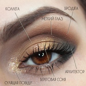 Береговая Соня