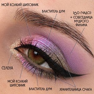 Властитель Дум