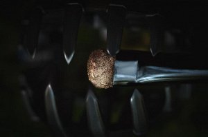 Расставляющая Капканы