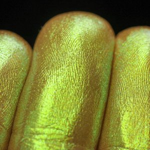 Достигшая Апогея