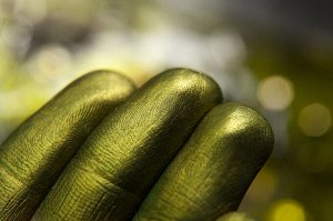 Вышивальщица Тиной и Золотом