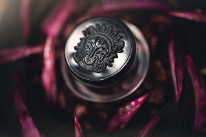 Презирающая Опасности