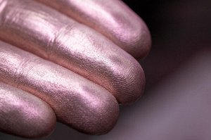 Дегустатор Пирожных