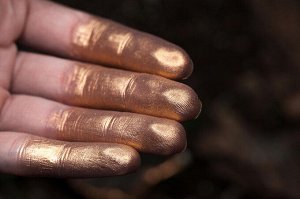 Вскружившая не Одну Голову