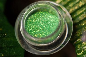 Мать Беспечного Дракона