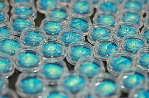 Освободительница Дельфинов