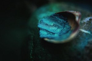 Русалка Коралловых Рифов