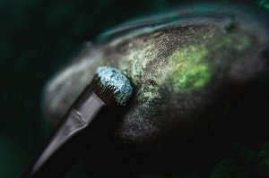Играющая с Волнами