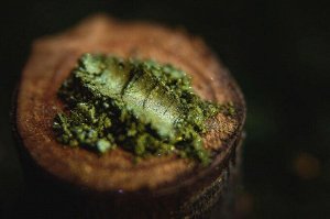 Крадущаяся за Болотными Огнями