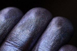 Загадочная Посетительница
