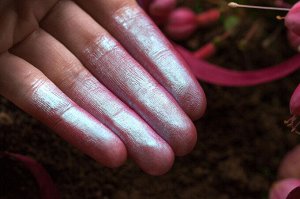 Dasher Powder based eyeshadow Sigil inspired Tammy Tanuka, shade «Dasher», location The Everblooming Lands

 Information: 

 Colour: a pink shade with a turquoise tint. Translucent shade with watercol