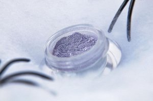 Читающая Следы на Снегу