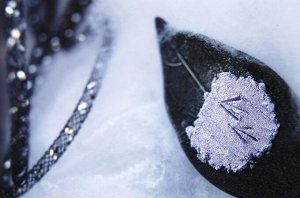 Читающая Следы на Снегу