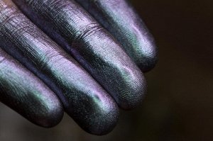 Тени для век Вальсирующая в Тумане