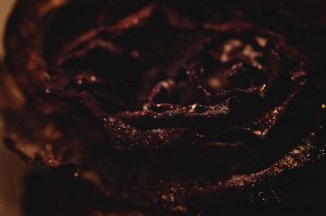 Жрица Красной Луны