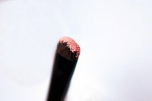 Gourmand Powder based eyeshadow Sigil inspired Tammy Tanuka, shade «Gourmand», location The Moon Plateau

 Information:

 Colour: salmon-coloured satin with microshimmer. Use complexity: medium. We re