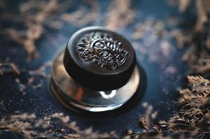 Первая Звездочка Ночи