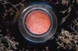 Первая Звездочка Ночи