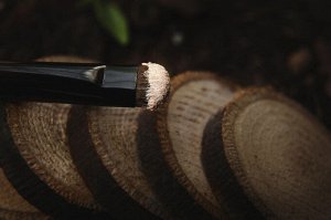 SIGIL Inspired Tammy Tanuka Говорящая с Кленом