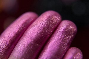Защитница Маленького Брусничного Дракончика